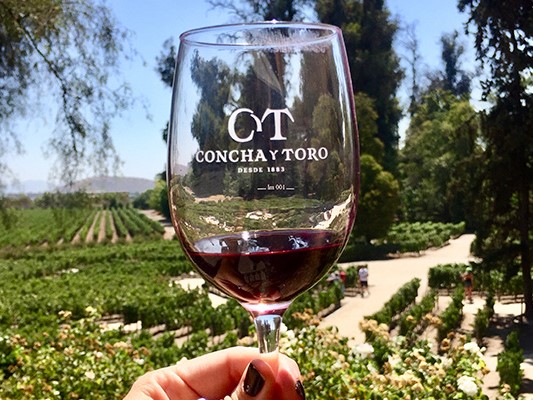 Conocida por marcas como Casillero del Diablo y Don Melchor, Concha y Toro opera en más de 140 países, lo que la convierte en una de las empresas vitivinícolas más grandes del mundo.